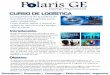 CURSO DE LOGÍSTICA - Polaris GEpolarisge.com/data/documents/Logistica.pdf · cadena de suministro para agregar valor al cliente El éxito de empresas como Mercadona, Zara, WalMart