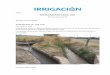 REVESTIMIENTO CANAL UCO · Plan de Obras 2018 ... Cuadro Nº 8 Geometría de partidores ... El caudal de diseño de este tramo es de 165 l/s