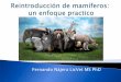 Fernando Nájera LicVet MS PhD - ucm.es 1.pdf · El muflón, el gamo, el mono de Gibraltar y ... Fuerza fisica Manos ... frio/calor; daño/ejercicio; hambre/sed