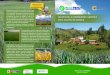 EFECTO DE LA VARIABILIDAD CLIMÁTICA EN EL CULTIVO …paccperu.org.pe/publicaciones/pdf/24.pdf · de siembras del cultivo de cebada se inicia en el mes de noviembre, lo cual indica