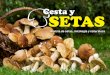 Cesta y SetaS · l Proyecto “CESTA Y SETAS ... ción, eventos, cultivo, práctica de deportes (trecking, senderismo, etc…), utilización de dis-