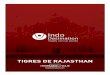 TIGRES DE RAJASTHAN - indodestination.com RJT05 IT Tigres de... · Cuenta la leyenda que el rey de Jaipur, mando construir el palacio ... por el estrecho camino adoquinado que lleva