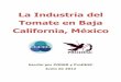 La Industria del Tomate en Baja California, México · Andrew & Williamson es una empresa de ... Whole Foods y Albertsons. ... De acuerdo con la Agricultural Market