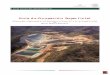 Guía de Ocupación Superficial - gob.mx · 1 Guía de Ocupación Superficial Alianzas Estratégicas para la Promoción y el Desarrollo de la Competitividad del Sector Minero Mexicano