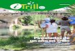 Pinceladas de un año en Trillo - Iniciotrillo.es/web/images/revista-municipal/i-Trillo_especial.pdf · C/ San Blas, 3. Teléf.: 949 81 54 13 Fax: 949 81 53 16 Biblioteca Municipal