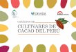 CULTIVARES DE CACAO final - agroaldia.minagri.gob.peagroaldia.minagri.gob.pe/.../f01-cultivo/cultivares_cacao_3edicion.pdf · Cacao en el Perú”, el Ministerio de Agricultura y