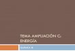 TEMA AMPLIACIÓN C: ENERGÍA - Real Instituto de … · 2017-04-16 · Los contaminantes se eliminan del gas de síntesis dejando un combustible ... hidrógeno. El proceso conocido