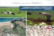 El Ministerio de Agricultura y Ganadería a través de ...geoportal.agricultura.gob.ec/pdf/Catalogo_Volumen_II.pdf · - Proyecto Agroseguro ... CAPÍTULO 1 ... formato que se encuentre