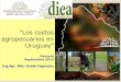 “Los costos Uruguay” - fao.org · Orden de la presentación Desafíos planteados por la tarea La forma de enfrentarlos. ¿Cómo se levantaron los costos? Lecciones aprendidas