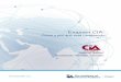 Examen CIA - global.theiia.org · las Normas Internacionales para el Ejercicio Profesional de la Auditoría Interna del IIA. Sean capaces de aplicar herramientas y técnicas para
