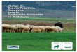Código de Producción Sostenible · Código de Buenas Prácticas Ganaderas para ... de Ganado de España, las razas de ganado de la espe-cie ovina existentes en España se clasifican