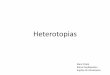 Heterotopias - Oikodomos · La descripción del trabajo de cada usuario revela un éxodo de la mente a un otra ... la análisis de la región ha cambiado con las ... El espejo, que