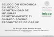 SELECCIÓN GENÓMICA EN MÉXICO. …congresobovinoscarne.com/app/webroot/files/doctos/ponen2013/Dr... · Consumo de Alimento Residual (CAR) • Medida de elección en la evaluación