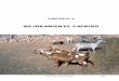 MEJORAMIENTO CAPRINO - produccion-animal.com.ar · 139 El ganado caprino en la Argentina •Necesidades de altos ingresos económicos y/o pautas guberna-mentales transitorias, fuerzan