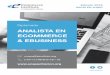 ANALISTA EN ECOMMERCE & EBUSINESS - …ecapacitacion.org/einstituto/2018/Brochure_Analista-en-eCommerce-e... · Conectividad a Internet y disponibilidad de acuerdo con la carga horaria