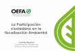 La Participación ciudadana en la fiscalización Ambiental · tratamiento e investigación de las denuncias ambientales. ... Etapas del trámite de las denuncias presentadas en OEFA