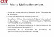 Mario Molina Benavides.€¦ · Mario Molina Benavides. –Doctor en Jurisprudencia, y Abogado de los Tribunales de la República. –Licenciado en Ciencias Públicas y Sociales