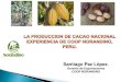 EXPERIENCIA DE DIVERSIFICACIÓN · Comercialización al mercado nacional e internacional de café, cacao y panela granulada (azúcar ecológica). Microcréditos. Capacitación