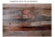 MANCHA AZUL DE LA MADERA - patologiaforestal.com€¦ · el daÑo es solo estÉtico las propiedades estructurales de la madera no son afectadas si la madera no estÁ a la vista, no