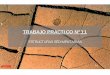 TRABAJO PRACTICO Nº11 - Departamento de …introgeo.gl.fcen.uba.ar/Introduccion/TPpracticos/TP-Claudia/TP11.pdf · Clasificación de estructuras sedimentarias Clasificación Genética