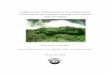 Subproyecto: Delimitación e Inventarios para ... · Delimitación e Inventarios para Conservación de Cubierta Forestal con Cultivos Agroforestales INTRODUCCIÓN En ... y 70% en