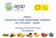 PERU: AGRICULTURA MODERNA VIENDO EL … · 2015-04-14 · •Asociación Peruana de Productores y Exportadores de Mango/APEM •Instituto Peruano del Esparrago y Hortalizas/IPEH 