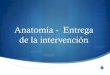 Anatomía - Entrega de la intervención - Mexico UNAM … · Punto de partida para plantear una intervención SRevisión de literatura STeoría que guíe la intervención (Teoría