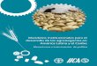 Mandatos institucionales para el desarrollo de los agronegocios en ...repositorio.iica.int/bitstream/11324/6133/1/BVE17109347e.pdf · desarrollo de los agronegocios en América Latina