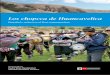 Los Chopcca de Huancavelica - mapavisual.cultura.pemapavisual.cultura.pe/archivos/doc/ba_565c7fa4b57ca.pdf · de las poblaciones rurales altoandinas ... etnicidad y cultura en el