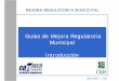 Guías de Mejora Regulatoria Municipal Introducción - … · administración municipal para ejercer su facultad regulatoria en beneficio de las empresas o ciudadanos del municipio