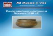 Plantas medicinales autóctonas de nicaragua 1550 d.c. Mi MuseoNo32.pdf · braduras en los huesos, así como las dolencias en el cuerpo. Entre las afirmaciones descrita por Ovie-do