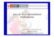 SALUD Y LA SEGURIDAD CIUDADANA - …bvsper.paho.org/videosdigitales/matedu/20101214_seguridad_minsa... · LA SEGURIDAD CIUDADANA EN EL PLAN NACIONAL CONCERTADO DE SALUD 2007-2020