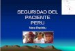 SEGURIDAD DEL PACIENTE PERU · Plan Nacional Concertado de Salud. que tiene como objetivo fijar ... 2007 – 2020. Red Panamericana de Pacientes por la Seguridad del Paciente . Seguridad