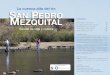 La cuenca alta del río San Pedro Mezquital Contenidoawsassets.panda.org/downloads/cuenca_alta_del_rio_spm_2010_1.pdf · la fundación de México Tenochtitlan. De la sierra ... en