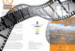 Ruta guiada Desierto de Tabernas: El Búho - dipalme.org · La presentación de la solicitud de inscripción en las rutas guiadas de cine por Cabo de Ga- ta-Níjar y el Desierto de