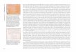 1749-1756 - eurocadastre.org · concepción camarero bullón El Catastro de Ensenada, 1749-1756 266 Abajo, mapas de Malagón, Membrilla y Tirateafuera. Arriba, Cabra de Santo