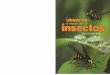 insectos · toda la corteza terrestre. Como ejemplo de insectos beneficiosos, pode- rnt» mencionar, entre IOS que nos dan productos. a la abeja, el gusano