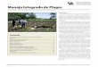 ID-181: Manejo Integrado de Plagasagriculturers.com/wp-content/uploads/2017/12/id181-Manejo-integra... · promover el hábitat de insectos beneficiosos y reducir la lixiviación de