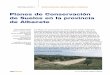 Planes de Conservación de Suelos en la provincia de Albaceteredforesta.com/wp-content/uploads/2011/02/Planes-de-conservacion... · disminuir los caudales punta en todas las cuencas