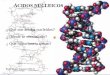 ÁCIDOS NUCLEICOS - tbiologia.weebly.com · almacenada en la secuencia de nucleótidos del ADN y las proteínas. Período ... ¿ Cuál será la función del ARN? • Si recuerdas