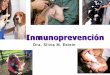 Dra. Silvia M. Estein - vet.unicen.edu.ar · El concepto Enfermedad infecciosa daño (lesiones) respuesta inmunitaria Vacunación . Vacuna ideal • Eficaz • Memoria duradera •