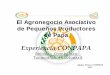 Experiencia CONPAPA... · 2017-05-04 · ORGANIZACIONES DE BASE Y SEGUNDO GRADO ... promedio 2500 qq/mes. ... Abril 7,58 18,19 20,11 13,73