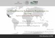 Presentación de PowerPoint - gob.mx · Calculadora Manual Emisión de la LFMN Emisión de la ADAE Reformas a la LFMN-MIR Acuerdo de Moratoria Regulatoria Acuerdo de Calidad Regulatoria