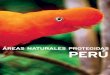 ÁREAS NATURALES PROTEGIDAS - portalces.org · 1 contenido 05 perÚ, paÍs megadiverso 07 Áreas naturales protegidas 12 visiÓn actual de las Áreas naturales protegidas 11 gestiÓn