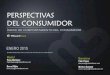 PERSPECTIVAS DEL CONSUMIDOR - … · Perspectivas de consumo Índice de Comportamiento del Consumidor - Noviembre 2014 3 Índice comportamiento del Consumidor (Síntesis, Soportes