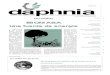 julio 2001 daphnia - ISTAS, Instituto Sindical de Trabajo ... · ferentes tipos de biomasa (residuos foresta-les y agrícolas, residuos ganaderos y culti- ... No tomar medidas de