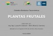 PLANTAS FRUTALES - agro.unc.edu.arwpweb/botaxo/wp-content/... · •Frutos politalámicos (compuestos) Sicono (poliaquenio) Polidrupa Inflorescenciareceptáculo 29la mayor parte de