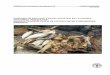 Consumo de pescado y fauna acuática en la cuenca … · acuáticos vivos lejos del sitio de origen, ... venezolana. La República Bolivariana de Venezuela está entre los países