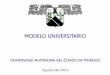 Mediación formativa y perfil del profesor universitariosistemas2.dti.uaem.mx/evadocente/programa2/DGES/documentos/MU_UAEM... · Cuidado de sí TEMAS TRANSVERSALES Sustentabilidad