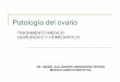 TRATAMIENTO MEDICO QUIRURGICO Y …homeopatasveracruz.com/files/120.pdf · Cistadenoma Seroso. Tumor seroso de bajo potencial maligno (limítrofe) Tumor seroso de bajo potencial maligno